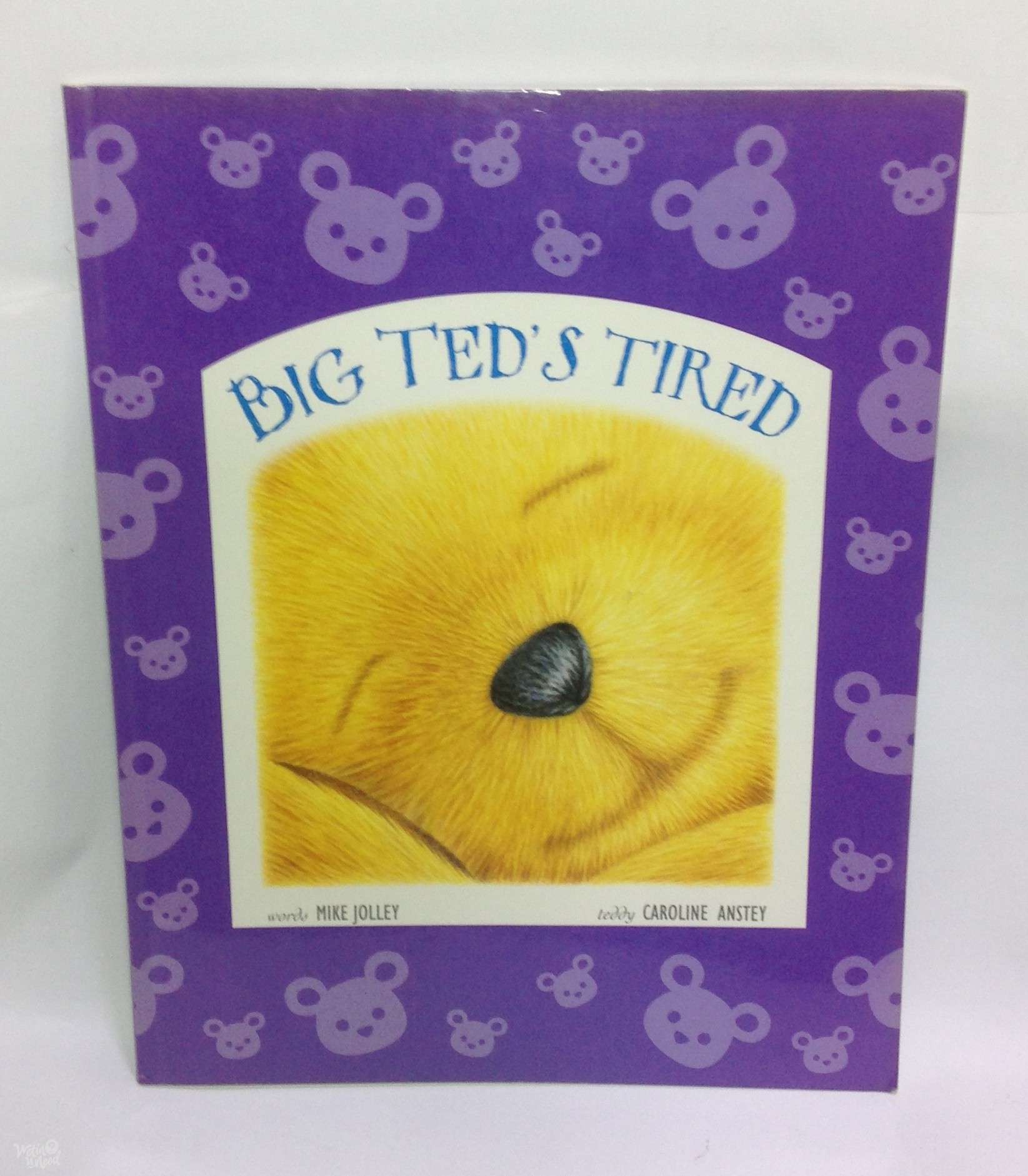 Kids Bedtime Story Big Ted S Tired The Friendship Store Wetinuneed
